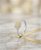Ringe Dame in Gold Diamante Yellow AV AOV9 FANCY 0.72 +0.30